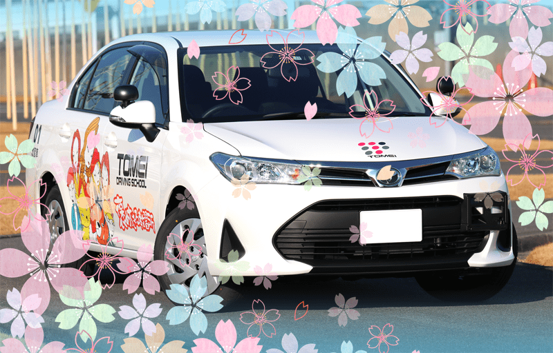 普通自動車(MT)卒業生の声